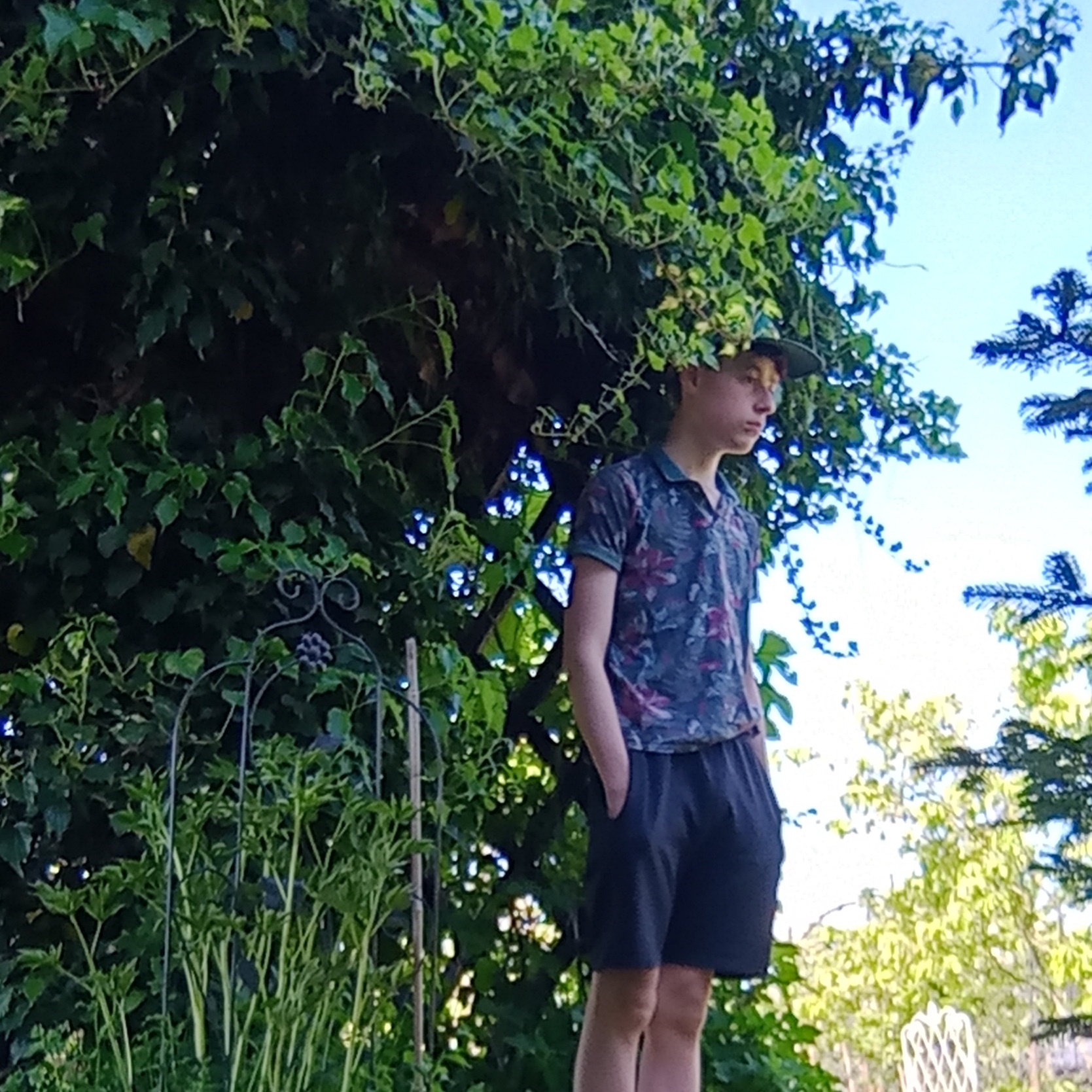 garden_shed